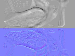 Forma base dell'uccello falco Modello 3D