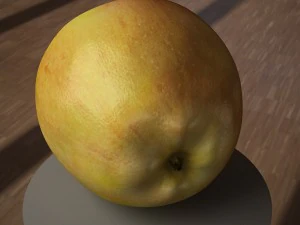 Apple fruit 3D Model
