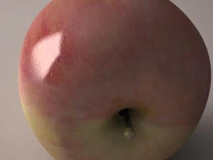 Apple fruit 3D Model