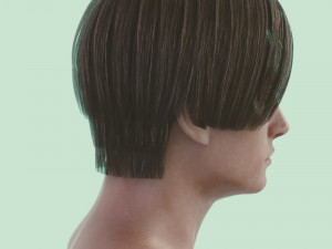 Human head male v6 3D Model
