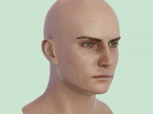 Human head male v6 3D Model