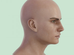 Human head male v6 3D Model