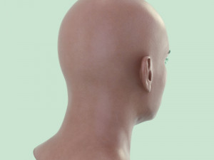Human head male v6 3D Model