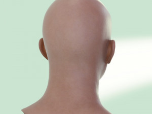 Human head male v6 3D Model