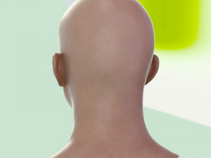 Human head male v6 3D Model