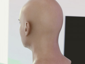 Human head male v6 3D Model