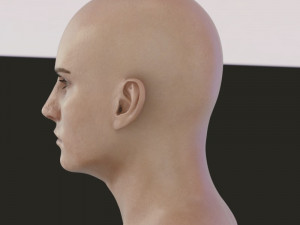 Human head male v6 3D Model