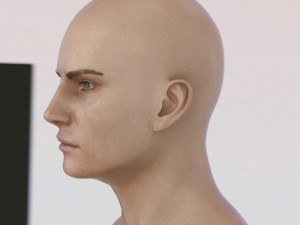 Human head male v6 3D Model