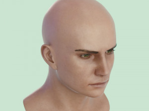 Human head male v6 3D Model