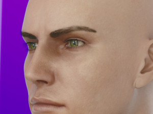 Human head male v6 3D Model
