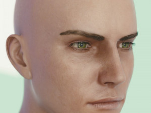 Human head male v6 3D Model