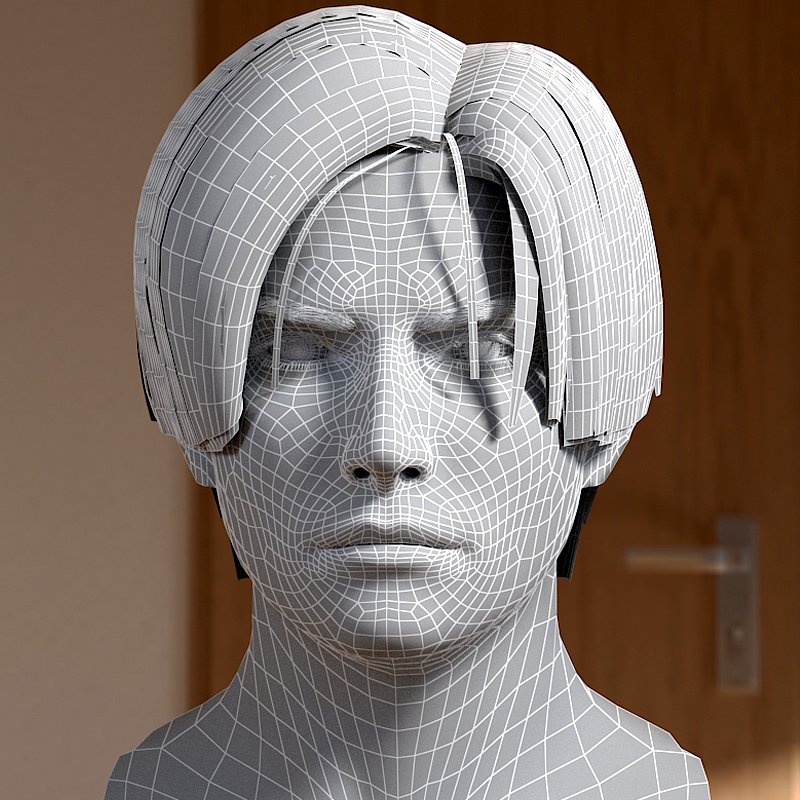 Head model studio