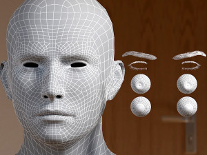 Human head male v6 3D Model