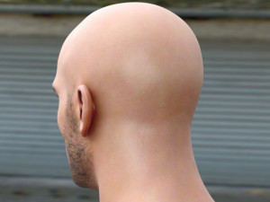 Mehmet akif alakurt 3D Model