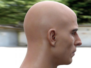 Mehmet akif alakurt 3D Model