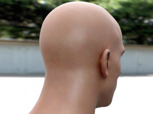 Mehmet akif alakurt 3D Model
