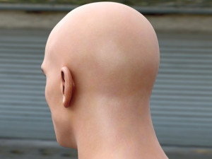 Mehmet akif alakurt 3D Model