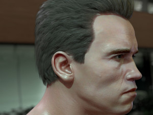 Arnold schwarzenegger head 3D Model