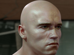 Arnold schwarzenegger head 3D Model