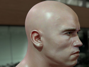 Arnold schwarzenegger head 3D Model