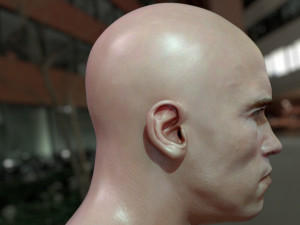 Arnold schwarzenegger head 3D Model
