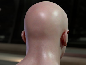 Arnold schwarzenegger head 3D Model
