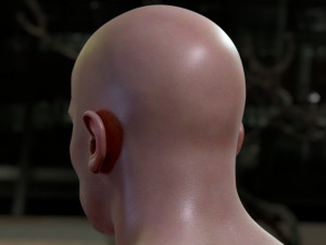Arnold schwarzenegger head 3D Model