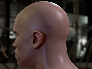 Arnold schwarzenegger head 3D Model