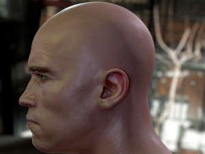 Arnold schwarzenegger head 3D Model