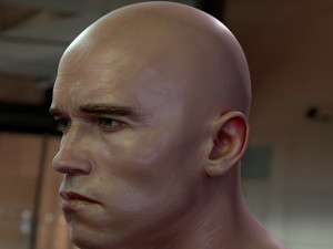 Arnold schwarzenegger head 3D Model