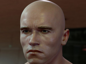 Arnold schwarzenegger head 3D Model