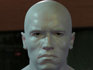 Arnold schwarzenegger head 3D Model