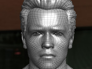 Arnold schwarzenegger head 3D Model