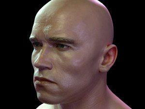 Arnold schwarzenegger head 3D Model