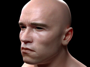 Arnold schwarzenegger head 3D Model