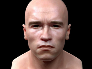 Arnold schwarzenegger head 3D Model