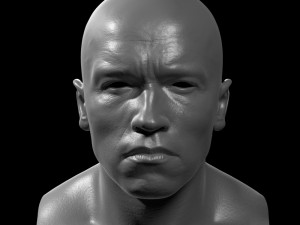 Arnold schwarzenegger head 3D Model