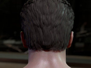 Arnold schwarzenegger head 3D Model
