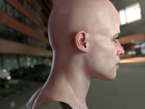 Sarah connor linda hamilton 3D-Modell