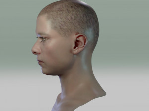 John connor edward furlong 3D Модель