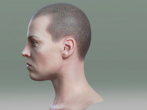 Sigourney weaver ellen ripley 3D 模型