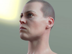 Sigourney weaver ellen ripley 3D 模型