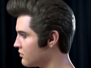 Elvis presley head 3D-Modell