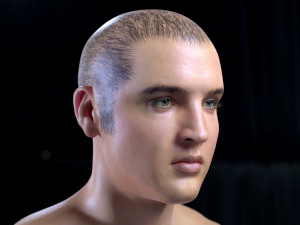 Elvis presley head 3D-Modell