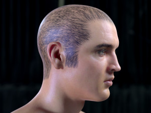 Elvis presley head 3D-Modell