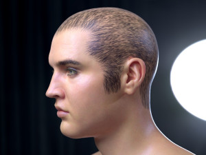 Elvis presley head 3D-Modell