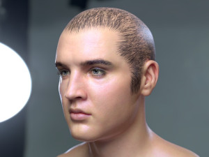 Elvis presley head 3D-Modell