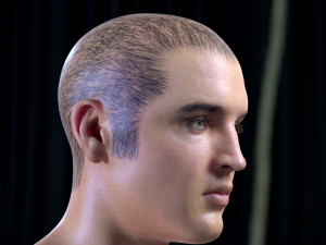 Elvis presley head 3D-Modell