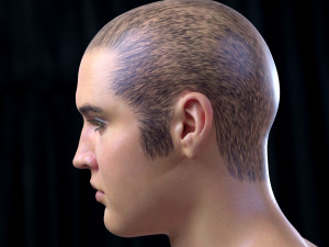 Elvis presley head 3D-Modell