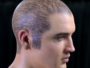 Elvis presley head 3D-Modell